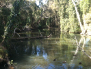 Hilliards Creek 3.jpg