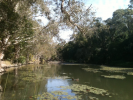 Hilliards Creek 1.jpg