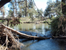 Dumaresq River