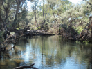 Dumaresq River