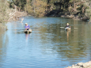 Dumaresq River