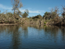 Dumaresq River