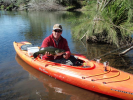 Dumaresq River Cod