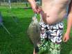 Chaffey Dam - Silver Bream