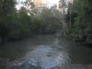 Glass House Mtns Bass Creek Downstream