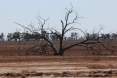 Cunnamulla area before the rain