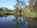 Sooty country near mareeba