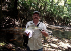 FNQ Jungle Perch