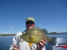 COPETON YELLA