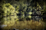 Albert River - Qld