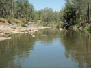 Mary River near Conondale