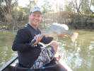 Paul Worsteling Golden Perch