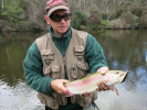 Threadbo River Rainbow Trout