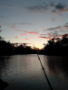 Thomson River Longreach