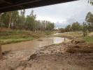 Condamine River at Condamine