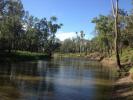 Archers Crossing Reserve - Condamine River