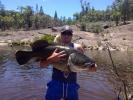 Severn River Cod