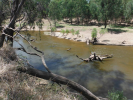 Macintyre River