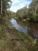 Bengalla Reserve - Qld. Dumareq River