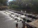 Cunningham Weir (Beebo Weir) - Dumarsq River
