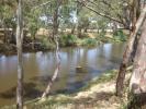 Gibraltar Reserve - Dumaresq River - Qld side