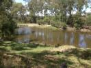 Gibraltar Reserve - Dumaresq River - Qld side