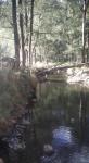 Condamine Gorge