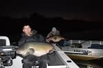 Copeton Cod