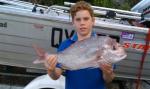 redcliffe snapper