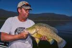 61cm GP from Lake Eildon December 2016