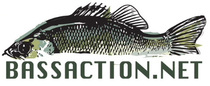 Bass Action Nets