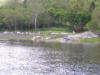 Lake Borumba Boat Ramp