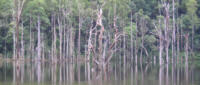 Typical Borumba Dam structure