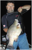 Solid fish like this 7kg Yellowbelly love big hard body lures just on dark