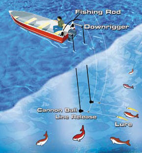 Downriggers - Changing Tactics. Sweetwater Fishing Australia