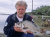 Estuary Perch