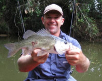 Bass are common in the Maroochy River