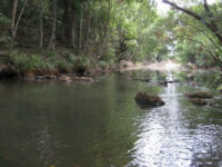 The North Maroochy is a great kayaking destination