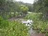 Sandy Creek below the dam wall