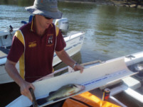 Measure stations were set up all over the lake and