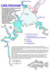 Awoonga Dam Map before the dam wall was raised