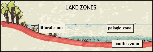 Lake Zones