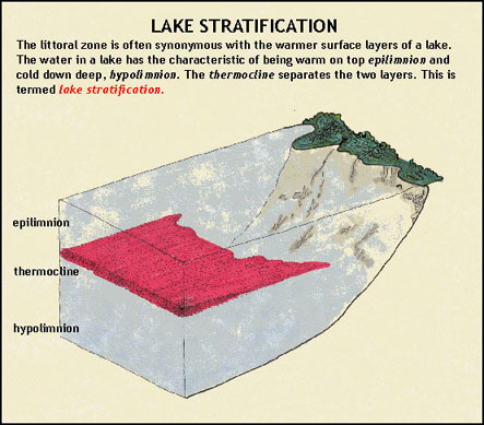 Lake Statification